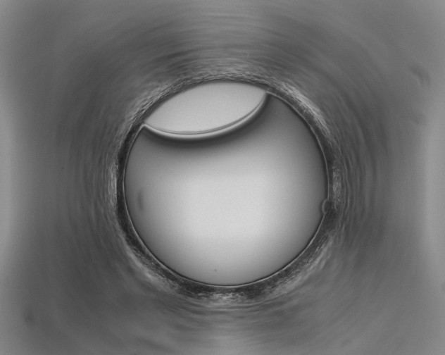 X0000113560493200909181024