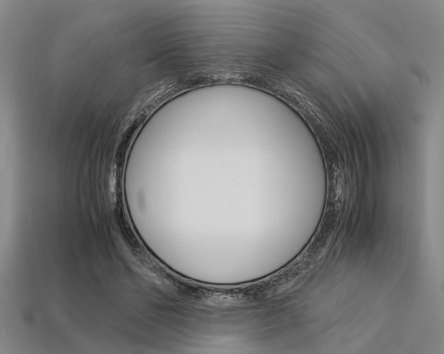 X0000113560494200909181024