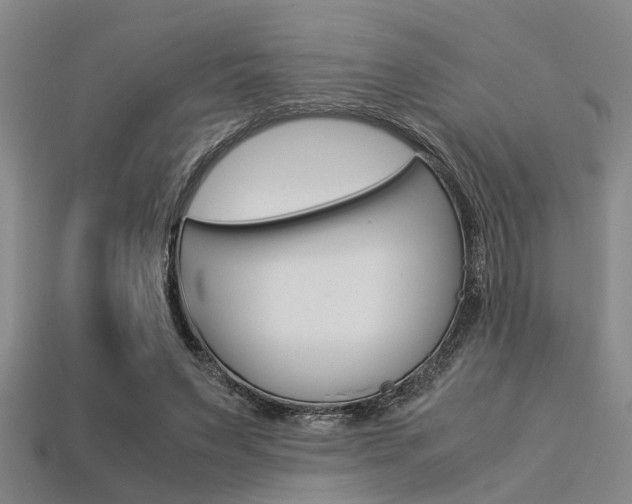 X0000113560495200909181024