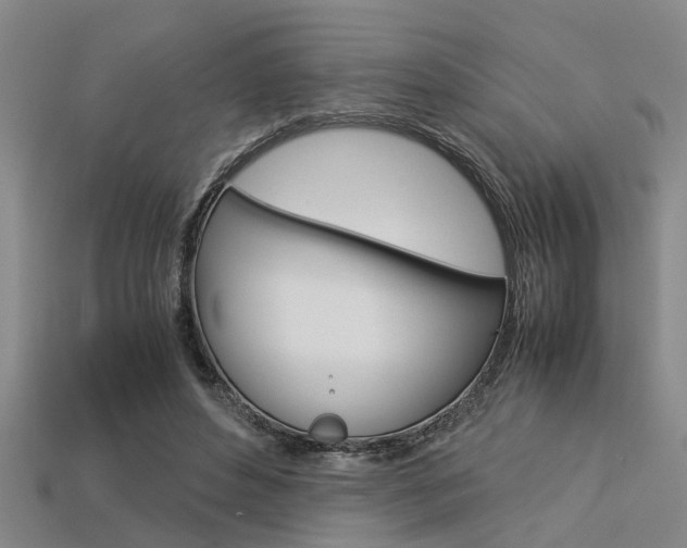 X0000113560496200909181024
