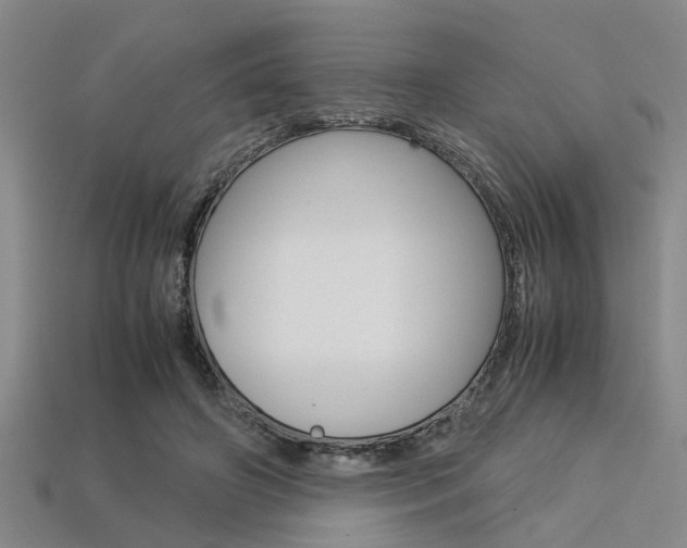 X0000113560498200909181024