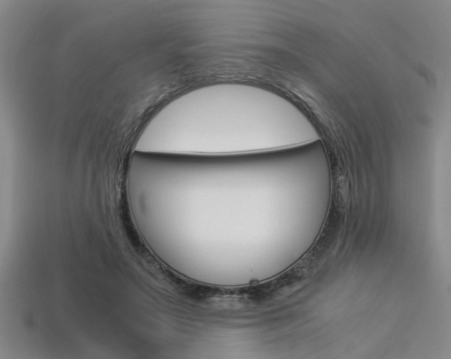 X0000113560499200909181024