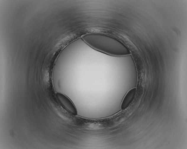 X0000113560500200909181024