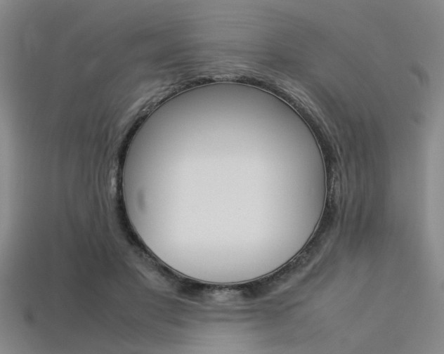 X0000113560501200909181024
