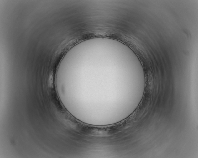 X0000113560502200909181024