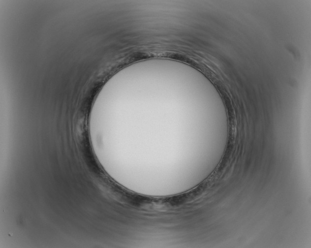 X0000113560503200909181024