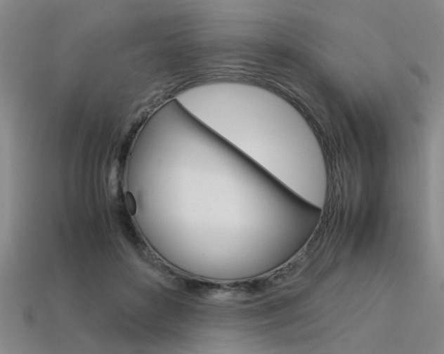X0000113560504200909181024