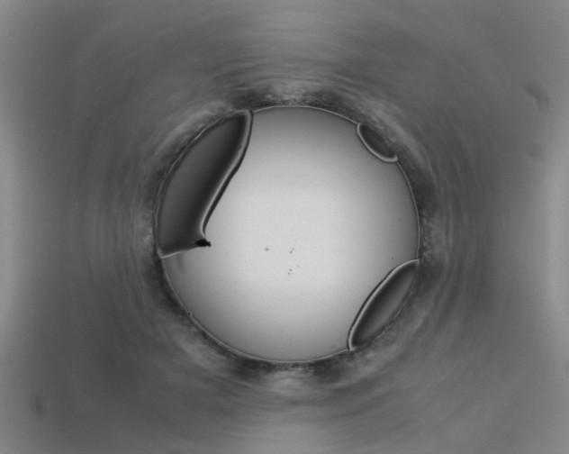 X0000113560505200909181024