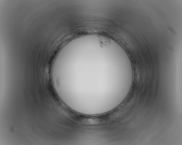 X0000113560506200909181024