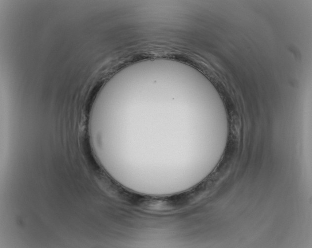 X0000113560507200909181024