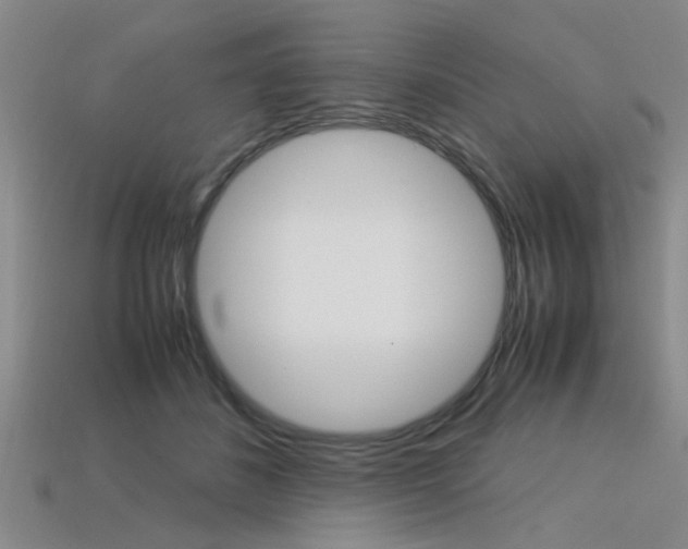 X0000113560508200909181024