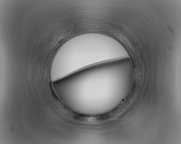 X0000113560509200909181024