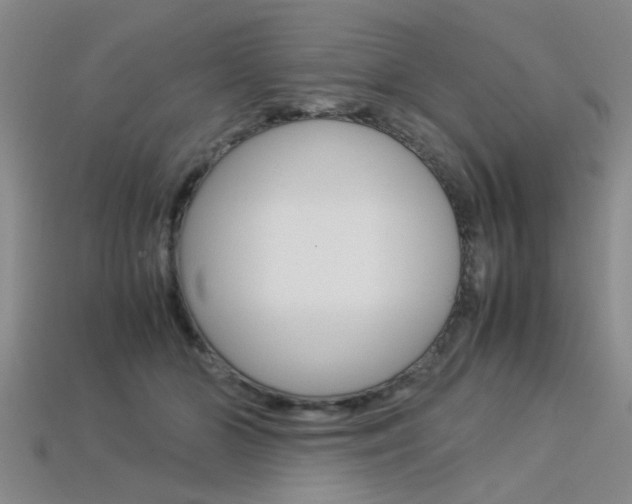 X0000113560510200909181024