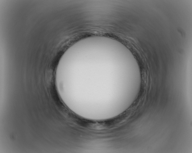 X0000113560511200909181024