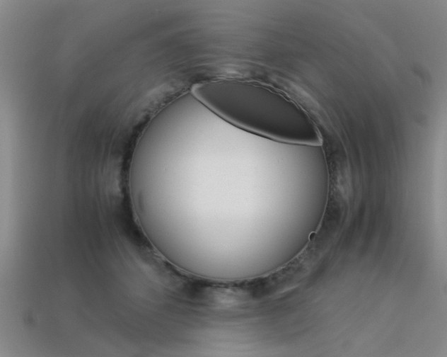 X0000113560512200909181024