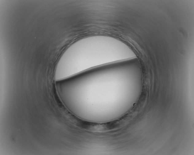 X0000113560513200909181024