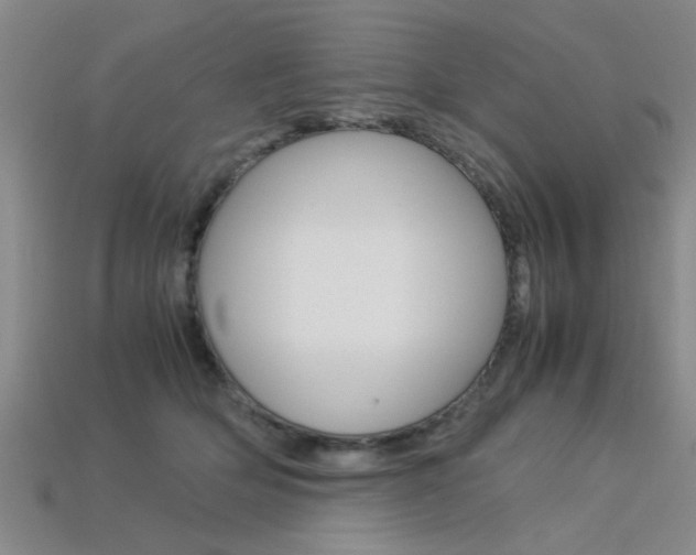 X0000113560514200909181024