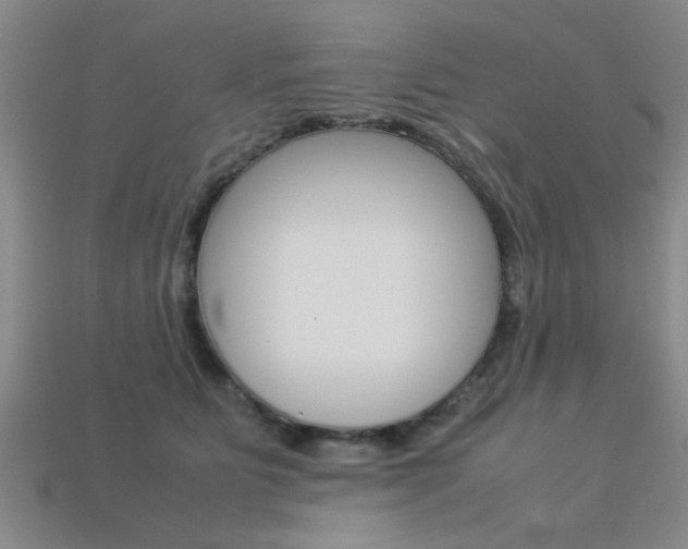 X0000113560515200909181024