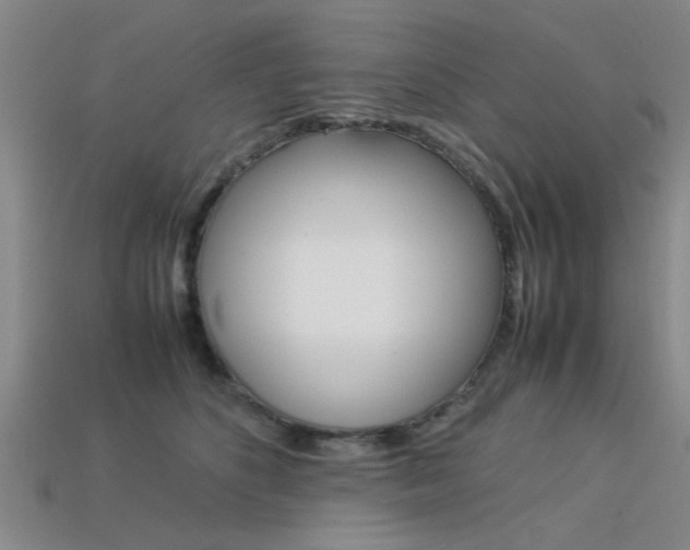 X0000113560516200909181024