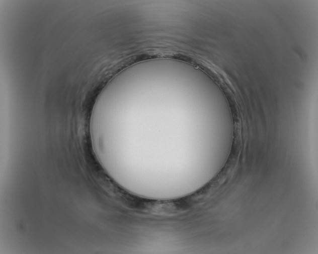 X0000113560517200909181024