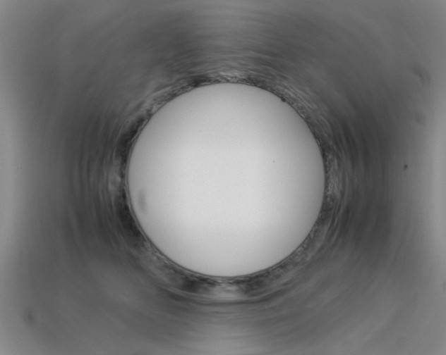 X0000113560518200909181024