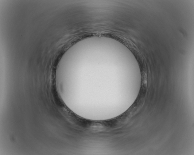 X0000113560519200909181024