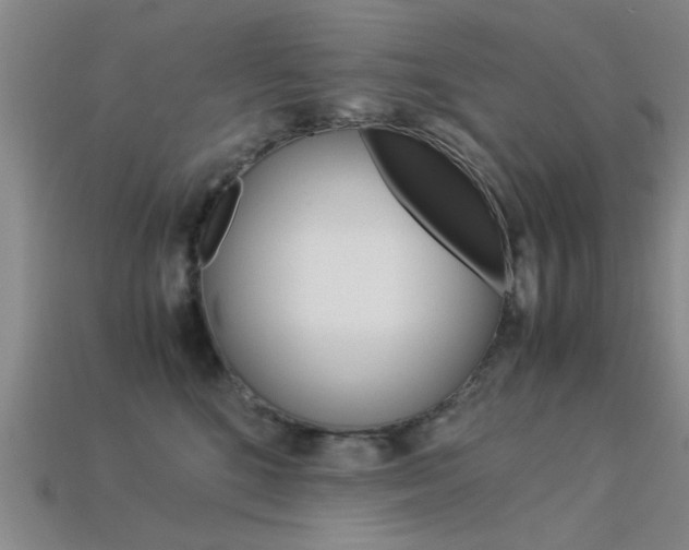 X0000113560520200909181023