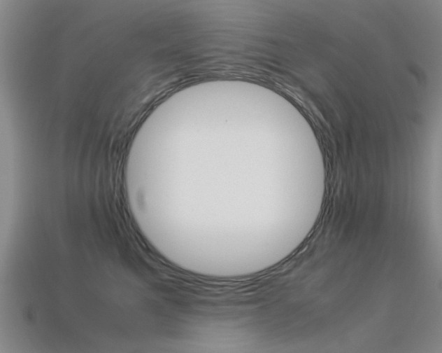 X0000113560521200909181023
