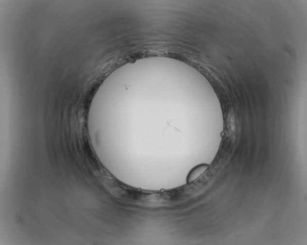 X0000113560522200909181023