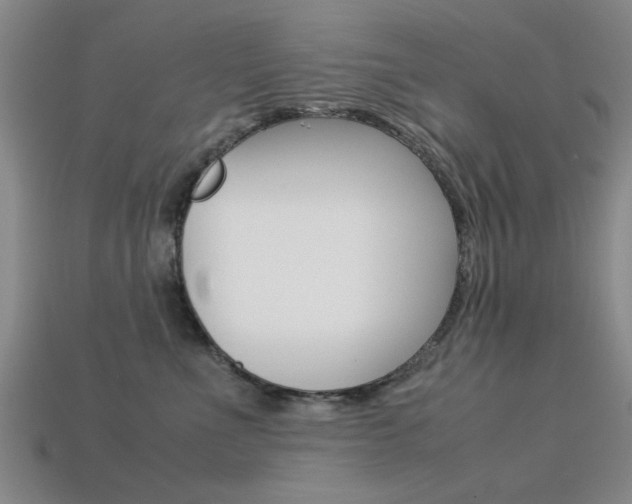 X0000113560523200909181023