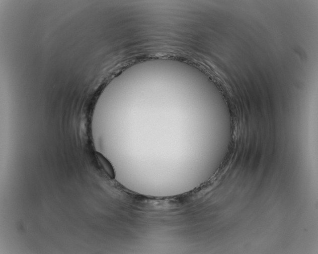 X0000113560524200909181023