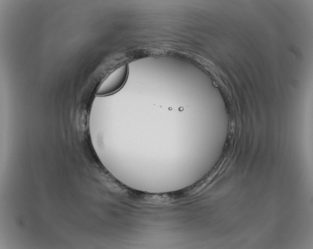 X0000113560525200909181023