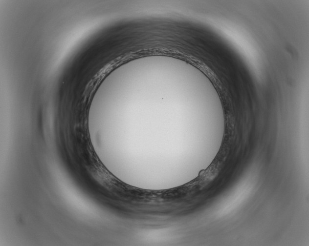 X0000113560526200909181023