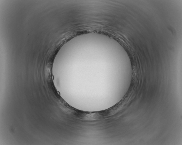 X0000113560527200909181023