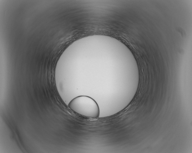 X0000113560528200909181023
