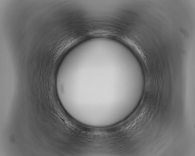 X0000113560529200909181023
