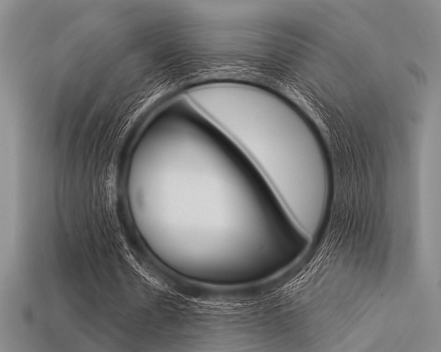 X0000113560530200909181023