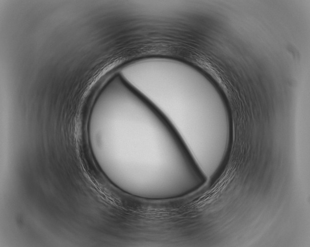 X0000113560531200909181023