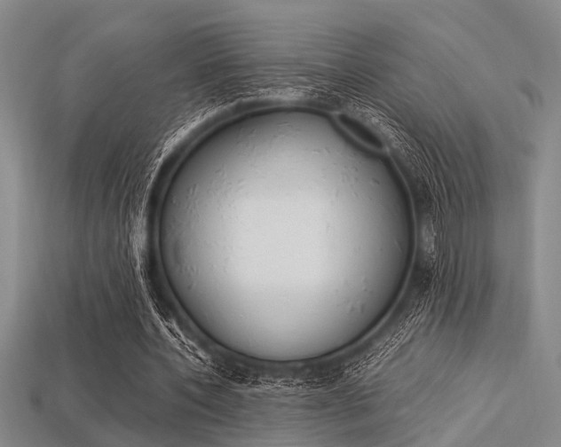 X0000113560532200909181023
