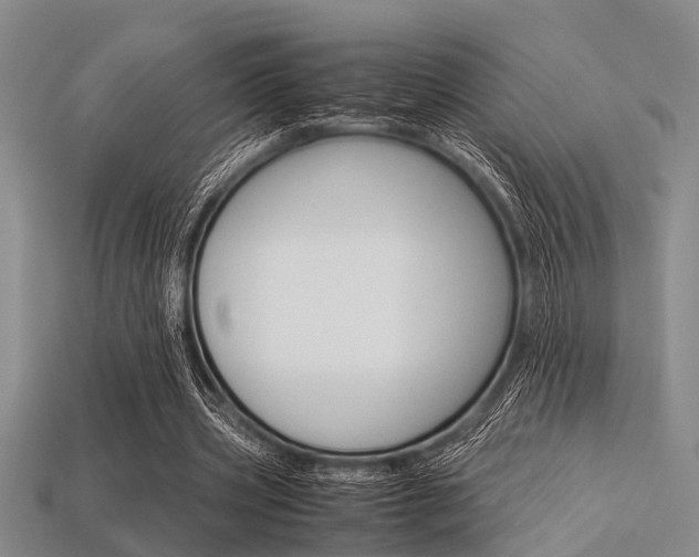 X0000113560533200909181023