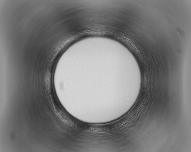 X0000113560534200909181023