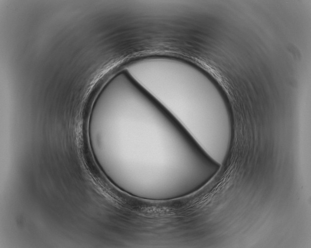X0000113560535200909181023