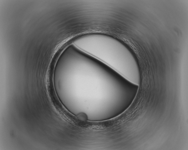 X0000113560536200909181023