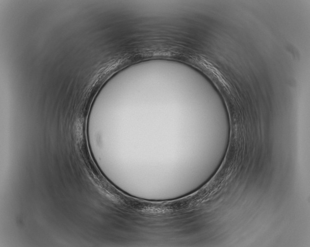X0000113560537200909181023