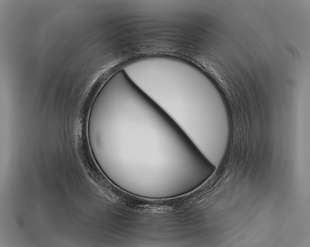 X0000113560539200909181023