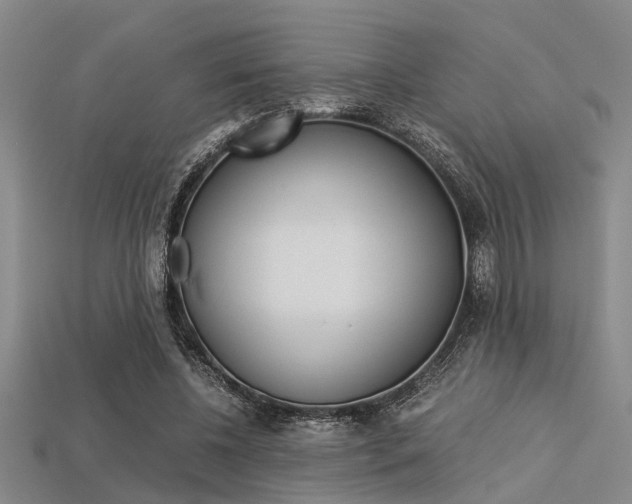 X0000113560540200909181023