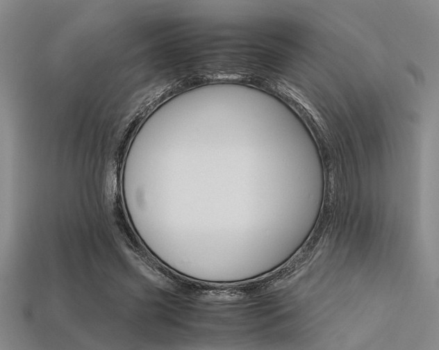 X0000113560541200909181023