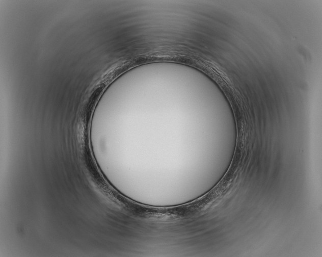 X0000113560542200909181023