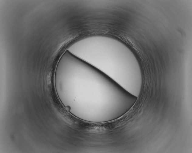 X0000113560543200909181023