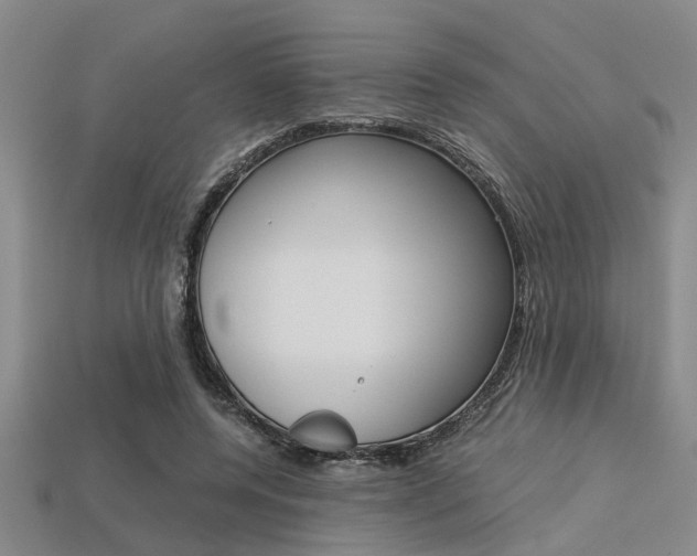 X0000113560544200909181023